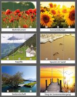 Roll-Up-Display 1-teilig (1 Banner à 85 x 200 cm)