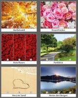 Roll-Up-Display 3-teilig (3 Banner à 85 x 200 cm)