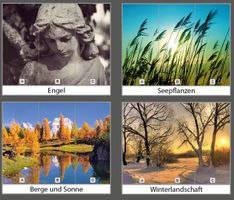 Roll-Up-Display 2-teilig (2 Banner à 85 x 200 cm)