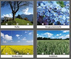 Roll-Up-Display 1-teilig (1 Banner à 85 x 200 cm)